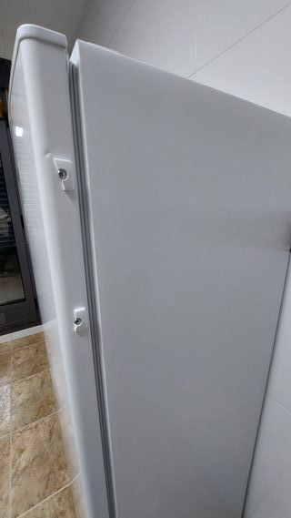 Nevera Brandt seminueva