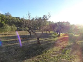 Solar en venta en Móra d´Ebre