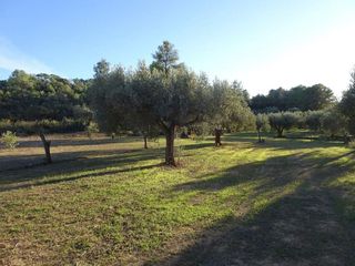 Solar en venta en Móra d´Ebre