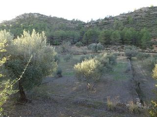 Solar en venta en Móra d´Ebre