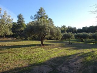 Solar en venta en Móra d´Ebre