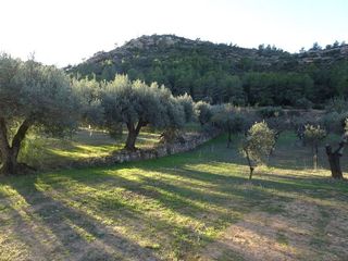 Solar en venta en Móra d´Ebre