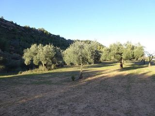 Solar en venta en Móra d´Ebre