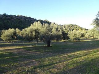 Solar en venta en Móra d´Ebre