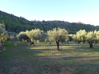 Solar en venta en Móra d´Ebre