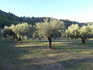 Solar en venta en Móra d´Ebre