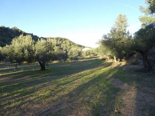 Solar en venta en Móra d´Ebre