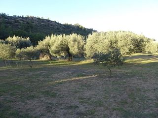 Solar en venta en Móra d´Ebre