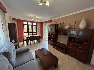 Piso en alquiler en Martín Carpena - Torre del Río en Málaga