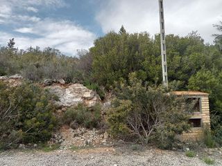 Solar en venta en Alfarp