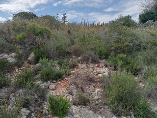 Solar en venta en Alfarp