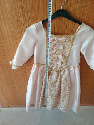 Disfraz princesa época rosa y dorado
