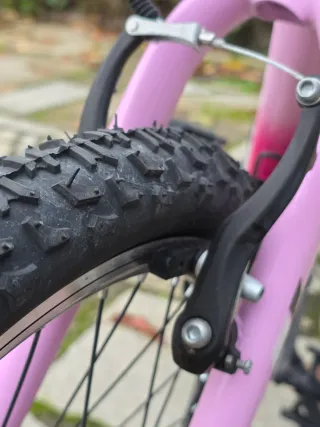 Bicicleta Monty Niña Rosa