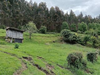 Chalet en venta en Cesuras