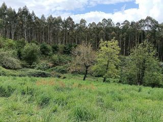 Chalet en venta en Cesuras