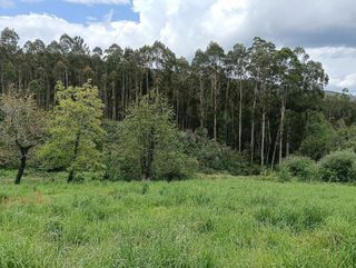 Chalet en venta en Cesuras