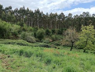 Chalet en venta en Cesuras