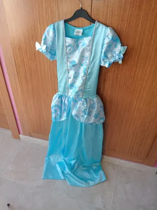 Disfraz Princesa Azul Cenicienta