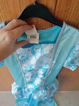 Disfraz Princesa Azul Cenicienta