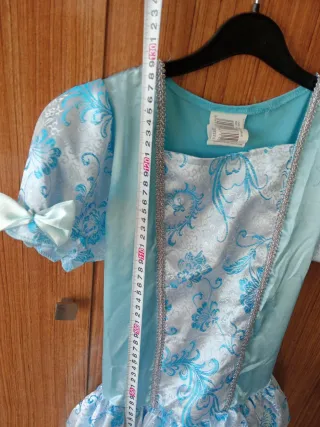 Disfraz Princesa Azul Cenicienta