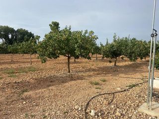 Chalet en venta en Ciudad Real