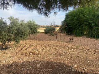 Chalet en venta en Ciudad Real