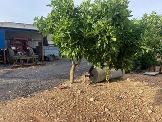 Chalet en venta en Ciudad Real