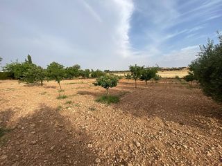 Chalet en venta en Ciudad Real