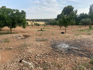 Chalet en venta en Ciudad Real