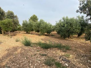 Chalet en venta en Ciudad Real