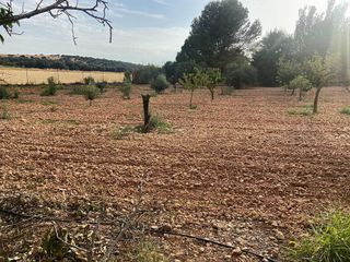 Chalet en venta en Ciudad Real