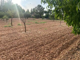 Chalet en venta en Ciudad Real