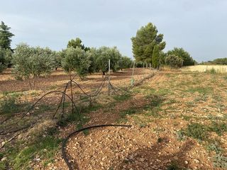 Chalet en venta en Ciudad Real