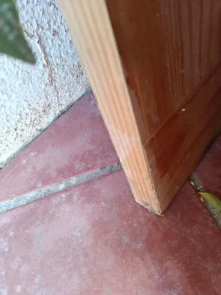 Puertas de madera interior