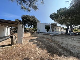 Chalet en alquiler en Torre de Esteban Hambrán (La)