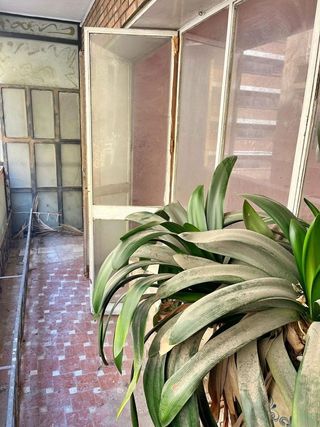 Piso en venta en Ensanche Centro - Puerto en Málaga