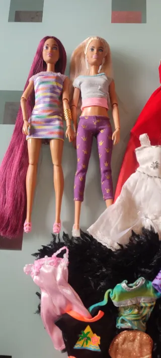2 Barbie articolate con abbigliamento