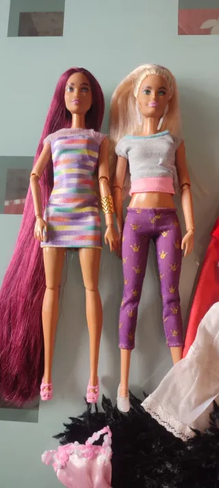 2 Barbie articolate con abbigliamento