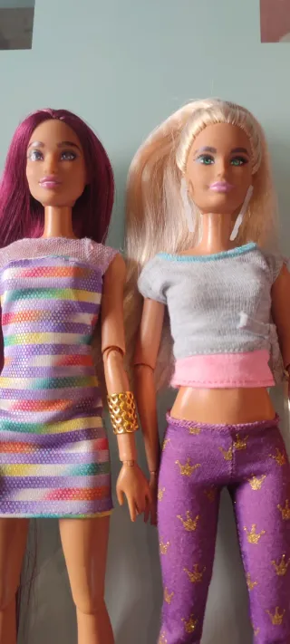 2 Barbie articolate con abbigliamento
