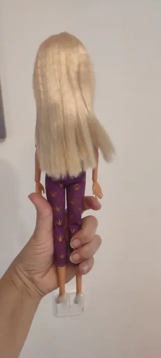 2 Barbie articolate con abbigliamento