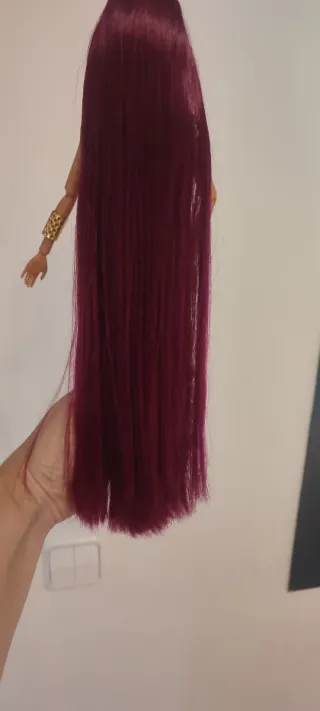 2 Barbie articolate con abbigliamento