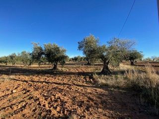 Terreno en venta en Sonseca