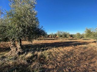 Terreno en venta en Sonseca