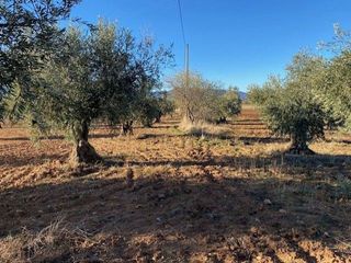 Terreno en venta en Sonseca