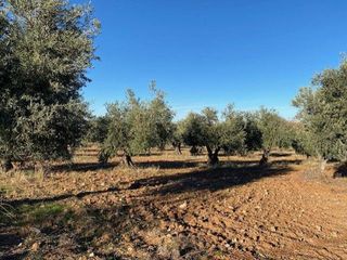 Terreno en venta en Sonseca