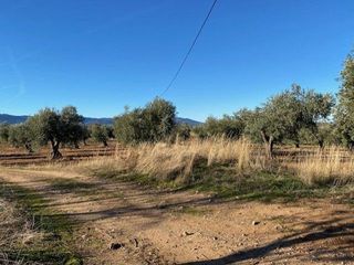 Terreno en venta en Sonseca