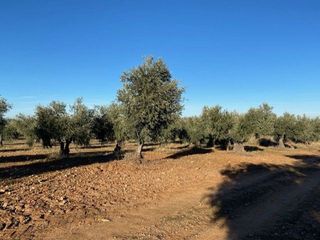 Terreno en venta en Sonseca