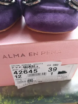 Zapatos Alma en Pena Morados con Pedrería