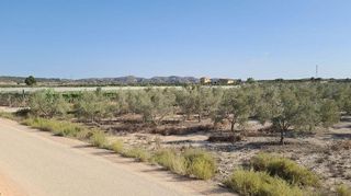 Terreno en venta en Monforte del Cid