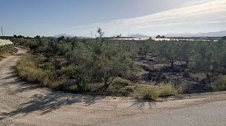 Terreno en venta en Monforte del Cid